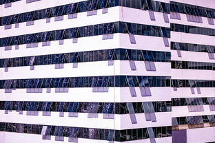 开云官网APP下载-中国篮球职业联赛青训体系建设与优化，中国青年篮球队