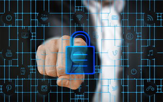 kaiyun网站-体育特许经营管理制度构建与案例研究，体育行业特有职业培训试点单位