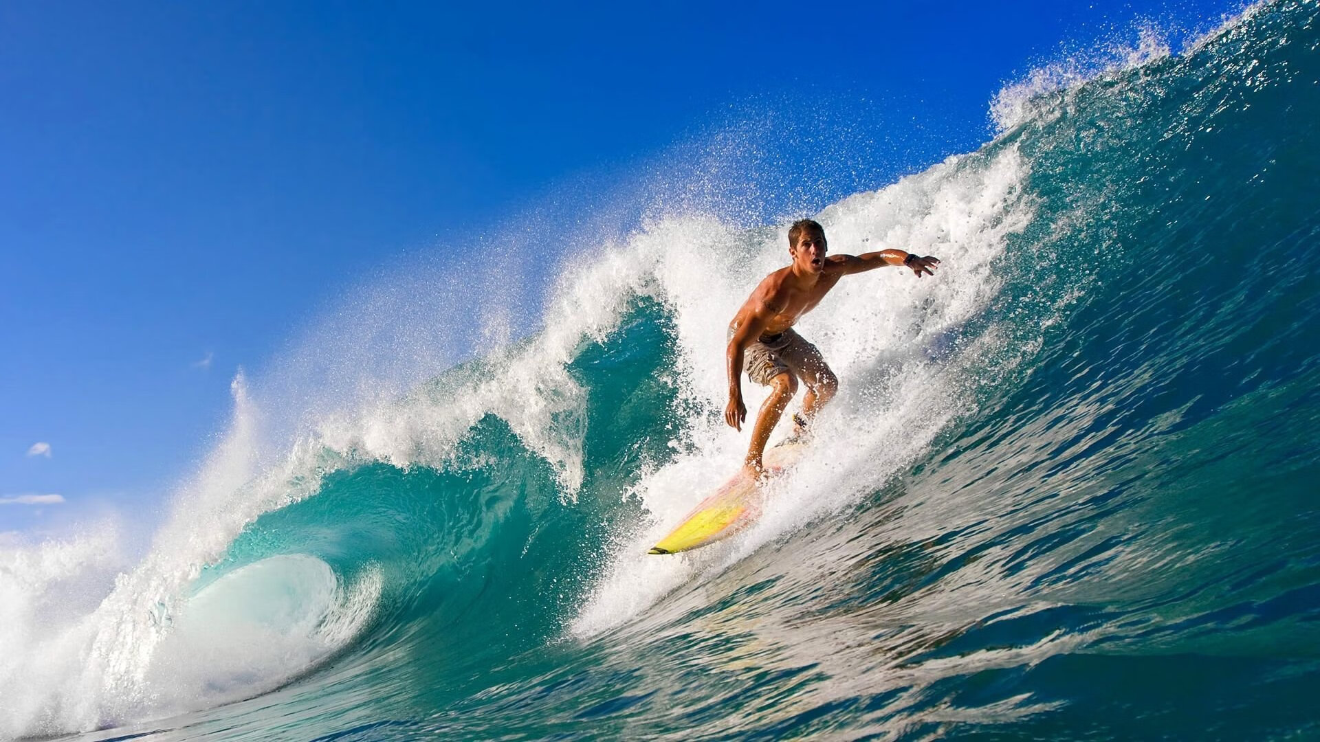 “青训场地引入高科技设备，提升训练水平”，青训的要求